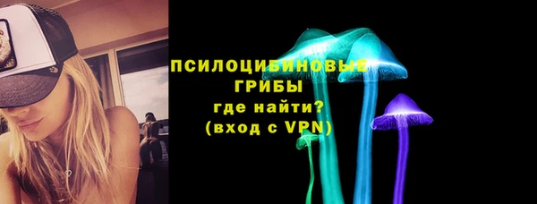 прущие крисы Зеленодольск
