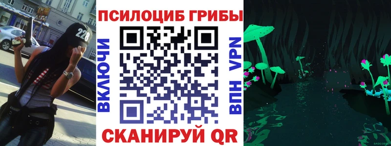 Псилоцибиновые грибы прущие грибы Великие Луки